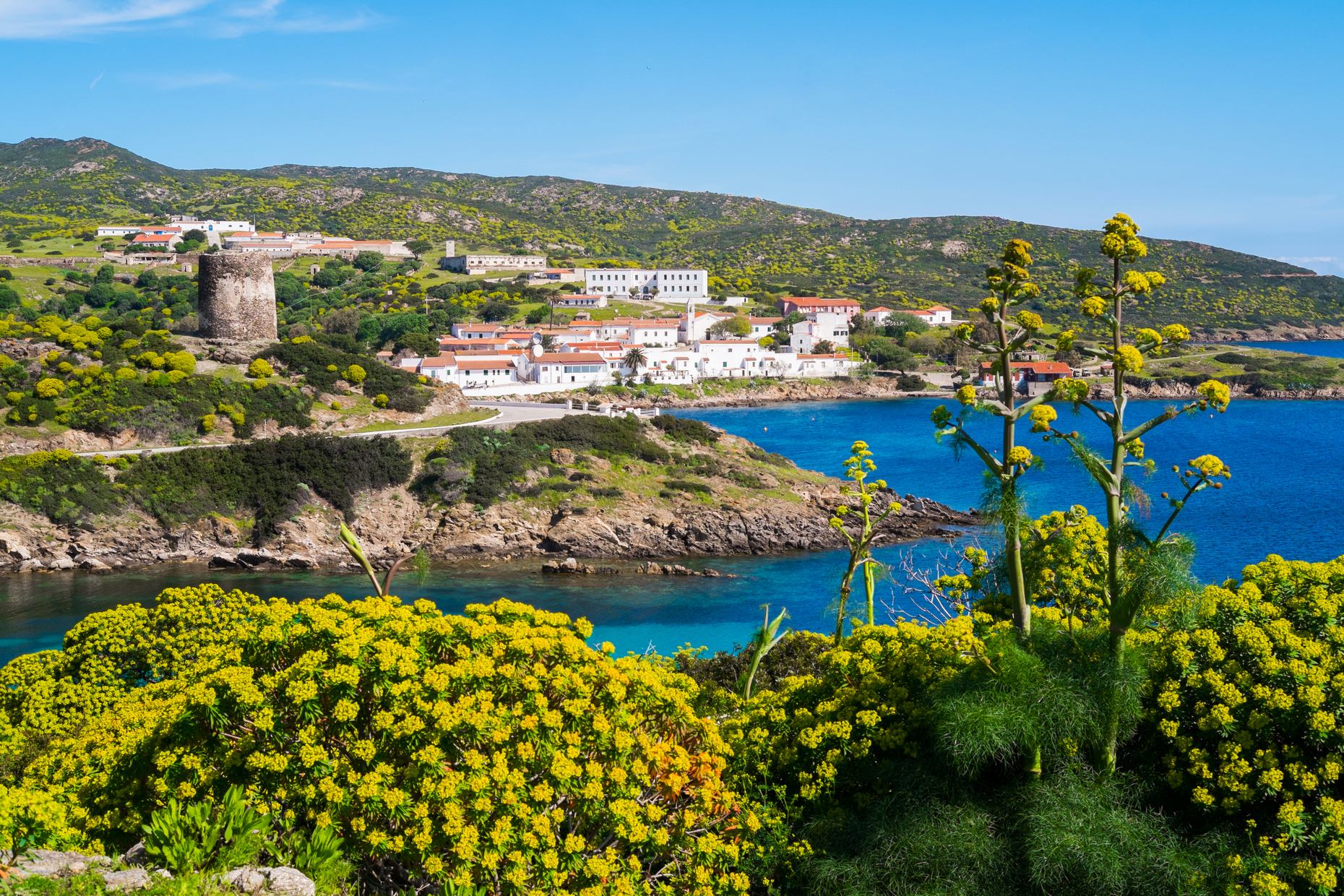 Cala Reale vista mare