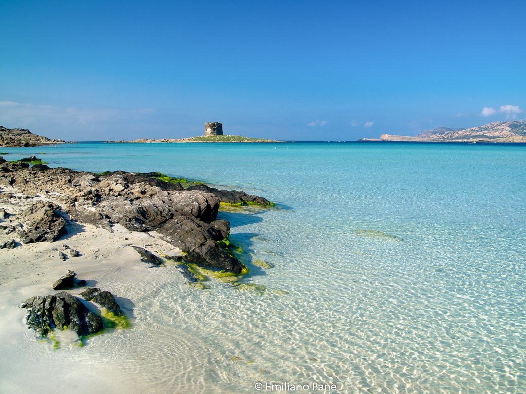 Mare Asinara